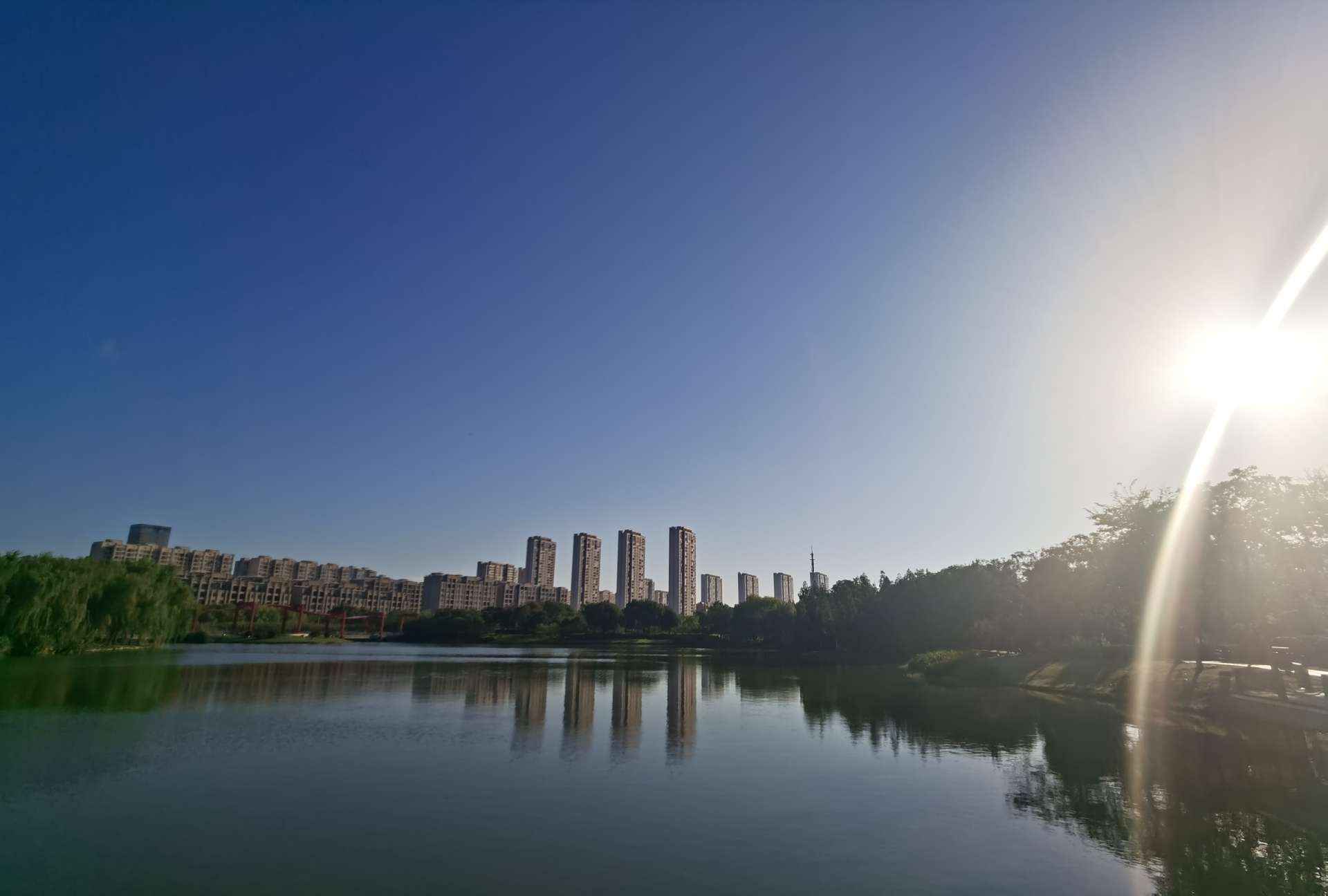 晨拍蘆蕩湖溼地公園