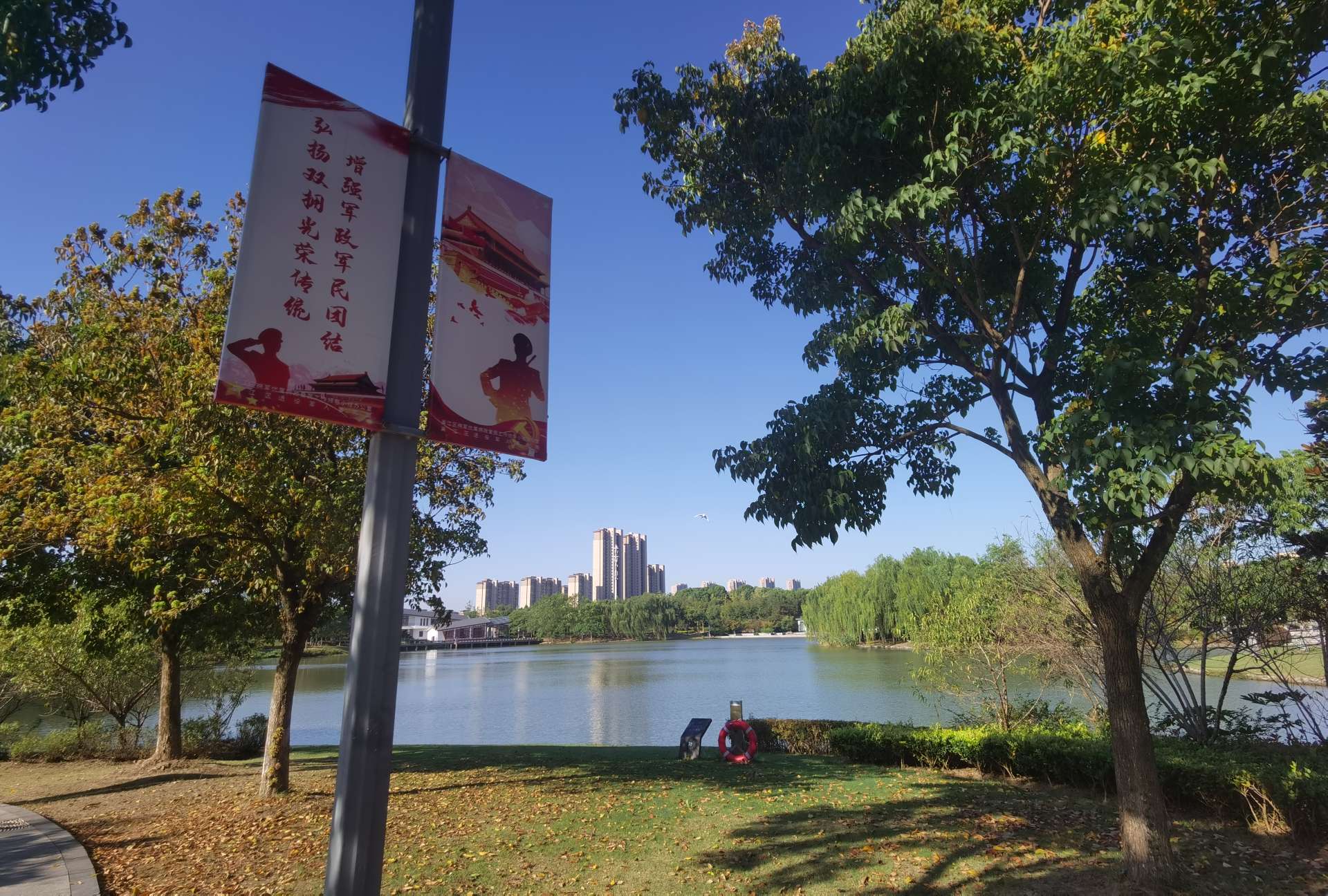 晨拍蘆蕩湖溼地公園